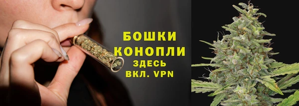 мдпв Волоколамск