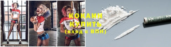 мдпв Волоколамск