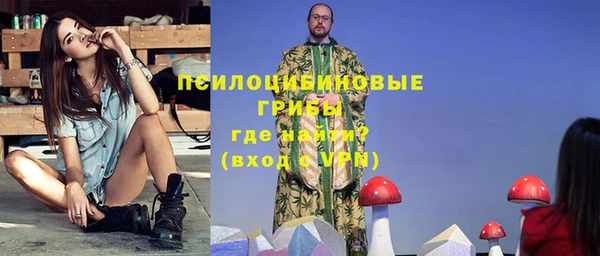 мдпв Волоколамск